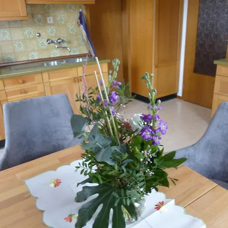 Apartment Metzler *