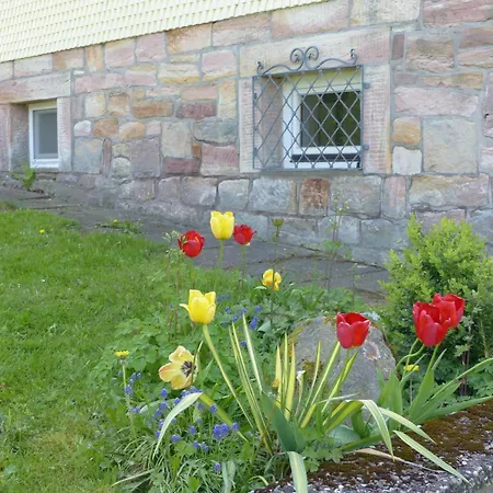 Metzler Apartment Poppenhausen