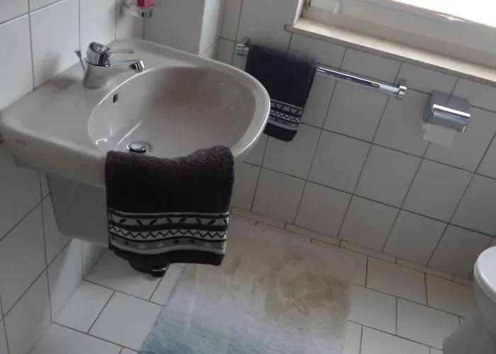 Metzler 波彭豪森