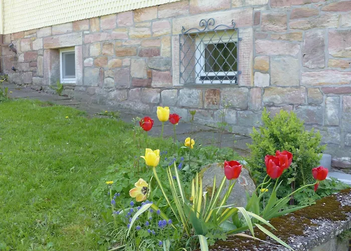 Metzler 公寓 波彭豪森